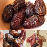 Eat four dates a day: Nature’s candy packed with nutritional power