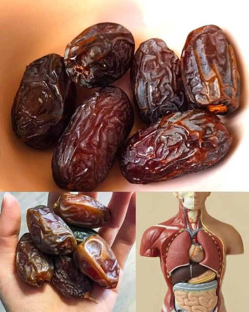 Eat four dates a day: Nature’s candy packed with nutritional power