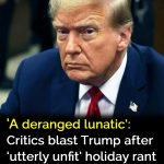‘A deranged lunatic’: Critics blast Trump after holiday rant