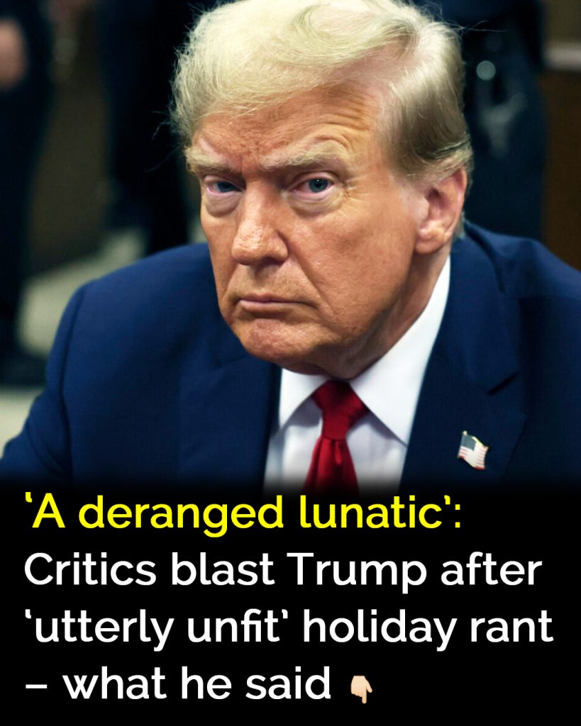 ‘A deranged lunatic’: Critics blast Trump after holiday rant