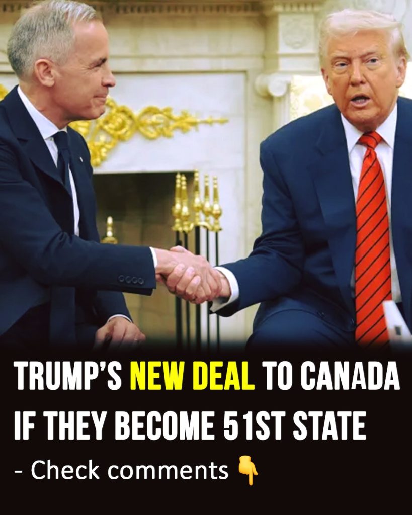 Trump’s new deal to Canada if they become ’51st state’