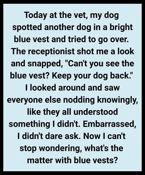 THE DAY MY DOG TAUGHT ME SOMETHING I NEVER LEARNED IN SCHOOL