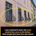 Why Do Some Window Grills Have Curves At The Bottom? The Answer Is Surprising