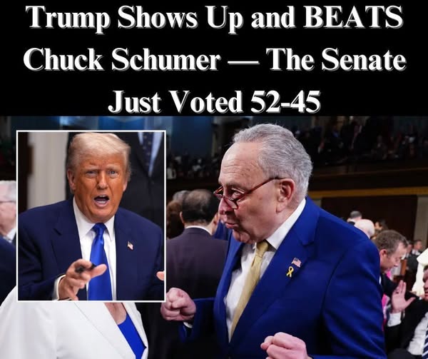 Monica Crowley Confirmed By Senate For Key State Dept Ambassadorship