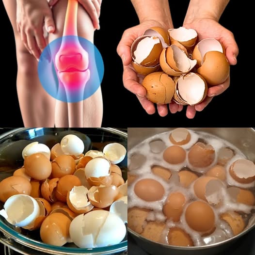 Never Throw Away Eggshells Again! 🥚 You Won’t Believe How Useful They Are