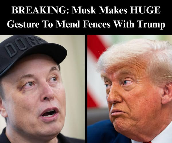 Elon Musk Deletes Controversial Post Accusing Trump of Epstein Ties Amid Backlash