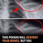 8 things that happen to your body when you stop drinking diet soda