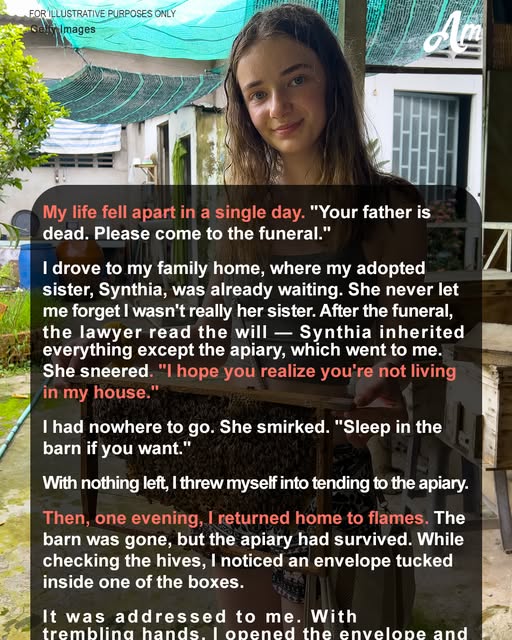 Our Late Father Left Me Only an Apiary While My Sister Took the House and Shut Me Out, but One Beehive Hid a Game-Changing Secret — Story of the Day