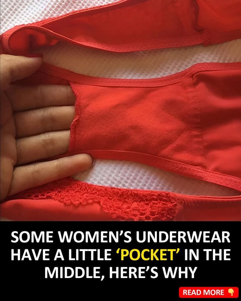 The Purpose of the Small Pocket in Women’s Underwear