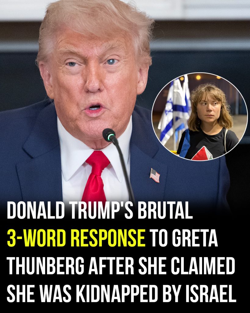 Donald Trump’s brutal 3-word response to Greta Thunberg after she claimed she was kidnapped by Israel