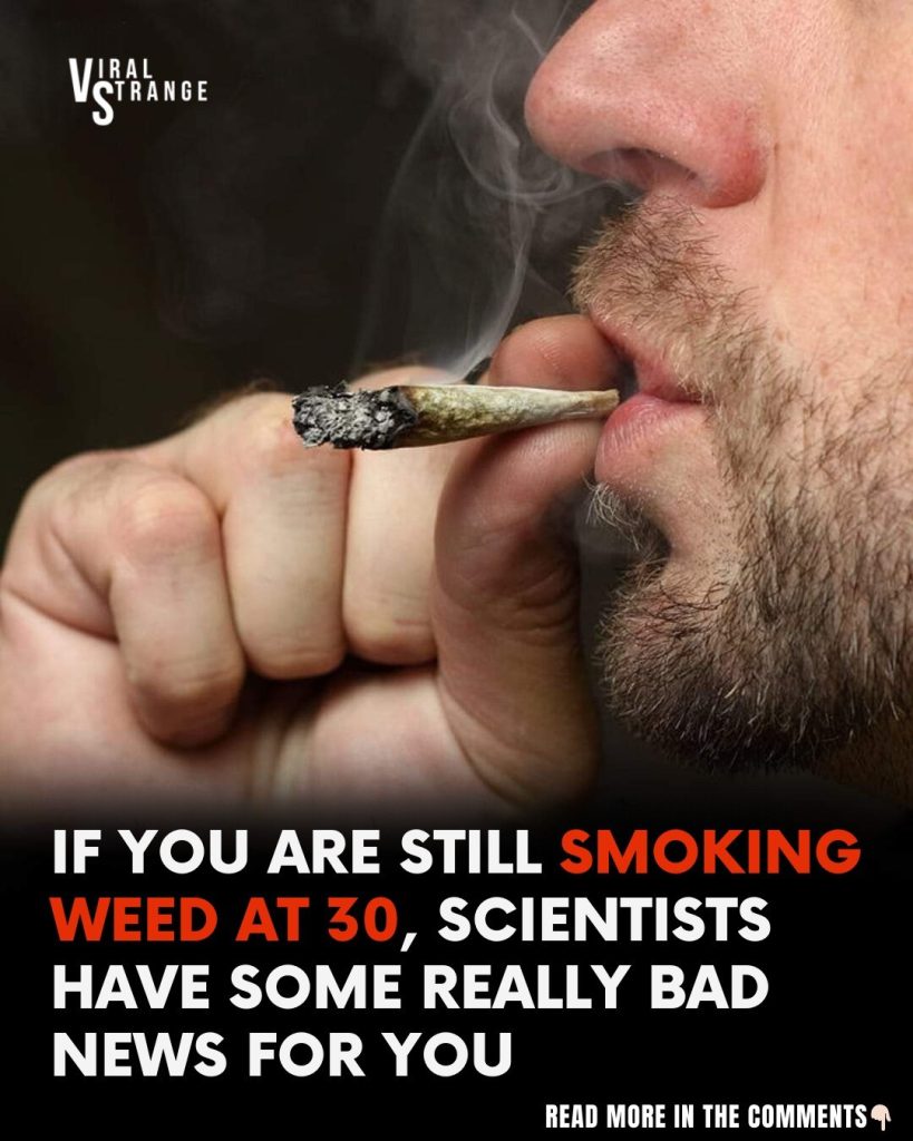 New Study Reveals Risks of Smoking Marijuana After 30