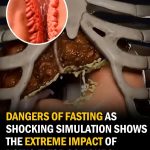 Simulation Reveals How a 36-Hour Fast Impacts the Body