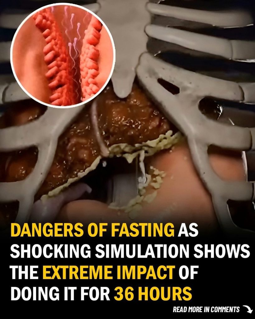 Simulation Reveals How a 36-Hour Fast Impacts the Body