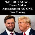 DHS Announces Major Self-Deportation