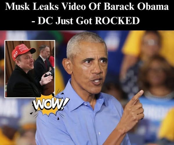 “The Clip Elon Musk Didn’t Want You to Forget”