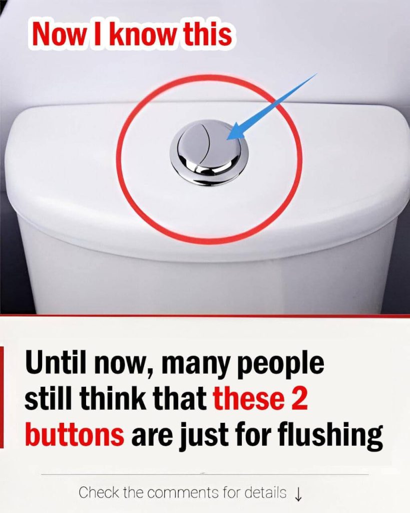 Some People Still Think These Two Buttons Are Only For Flushing
