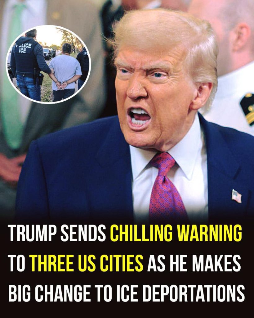 “The Largest Mass Deportation Effort in U.S. History”: Trump Issues Chilling New Orders Amid Nationwide Protests