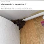 People Are Asking for Help in Identifying Strange Objects, and Some of Them Are Plain Weird