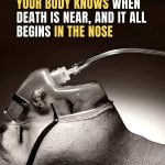 A research reveals your body knows when death is near, and it all starts in the nose