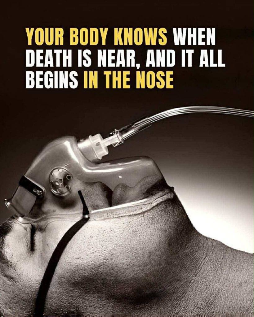A research reveals your body knows when death is near, and it all starts in the nose