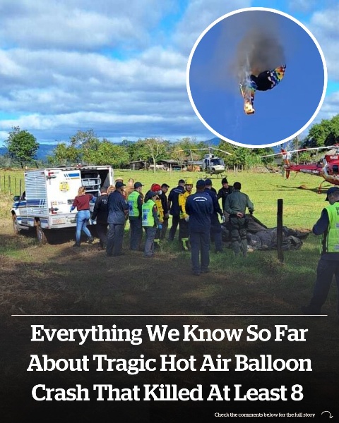 At least eight killed in horrific hot