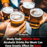 Study Finds Eight Or More Alcoholic Drinks Per Week Can Seriously Harm Brain Function