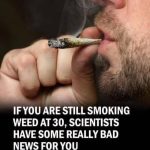 Why Smoking Weed at 30 Could Impact Your Future: What Science Says
