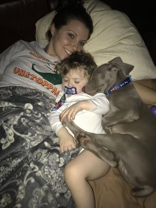 I LET OUR DOG SLEEP NEXT TO OUR TODDLER—AND NOW MY PARTNER WON’T SPEAK TO ME