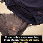 Understanding Discharge: What’s Normal, What’s Not, and Why It Matters—Especially After 50