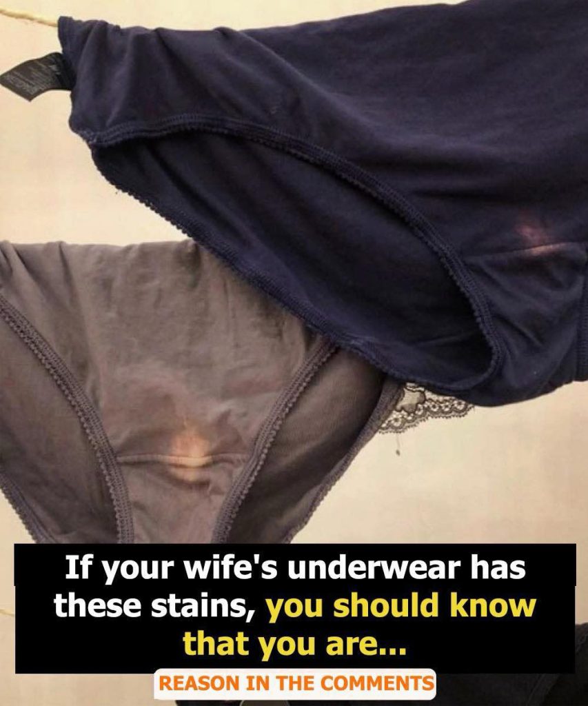 Understanding Discharge: What’s Normal, What’s Not, and Why It Matters—Especially After 50