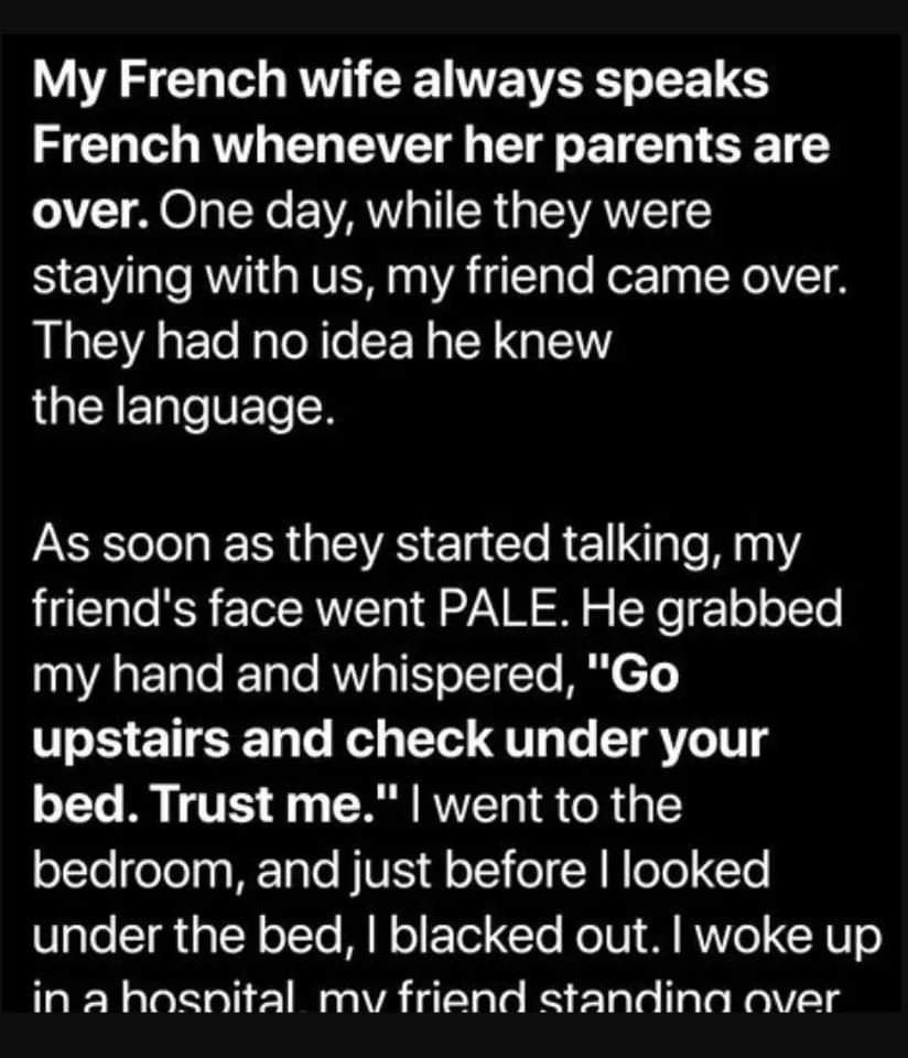 I Invited My Friend Over, and His French Skills Uncovered a Shocking Family Secret