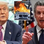 Paid Agitators Among Those Involved In Anti-ICE Riots: Report