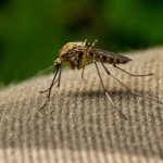 Doctors warn against viral hot spoon mosquito hack