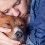 11 signs your dog is nearing the end