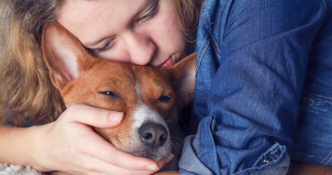11 signs your dog is nearing the end