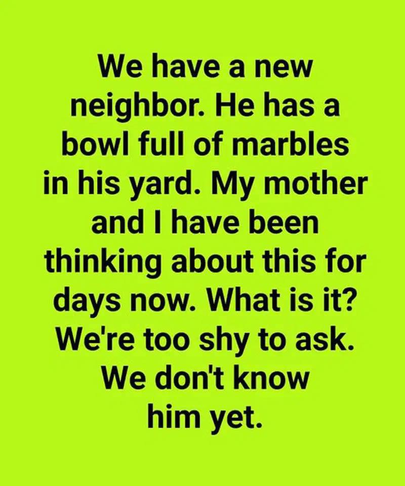 How to Make a Simple DIY Bee Watering Station That Beautifies Your Garden and Supports Nature