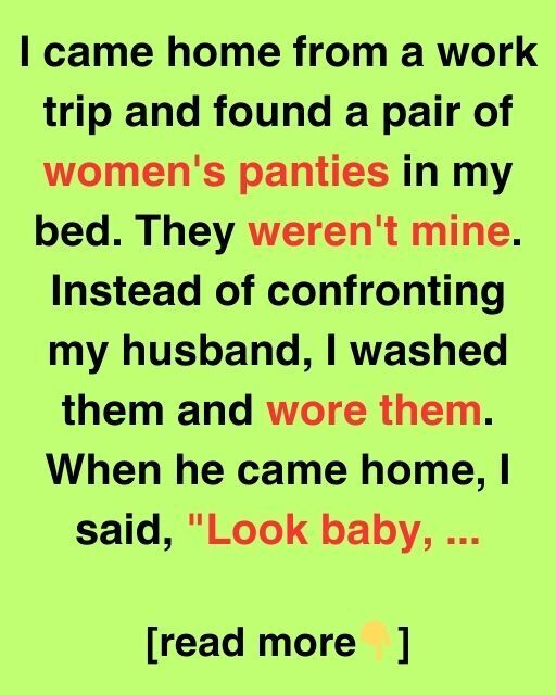 The Day I Wore Her Panties