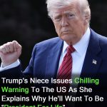 Mary Trump has chilling warning for US about president’s plan