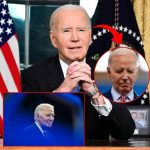 Individual Diagnosed with Aggressive Prostate Cancer with Bone Metastasis