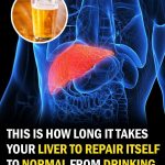 This Is How Long It Takes Your Liver to Return to Normal From Drinking