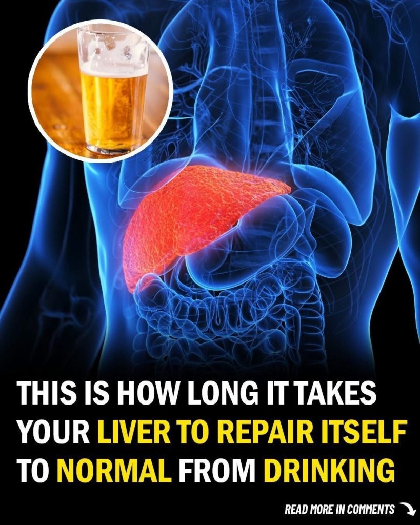 This Is How Long It Takes Your Liver to Return to Normal From Drinking