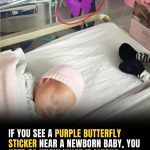 If You See A Purple Butterfly Sticker Near A Newborn, Here’s What It Means