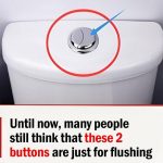 Many individuals still believe that these two buttons are only for flushing.