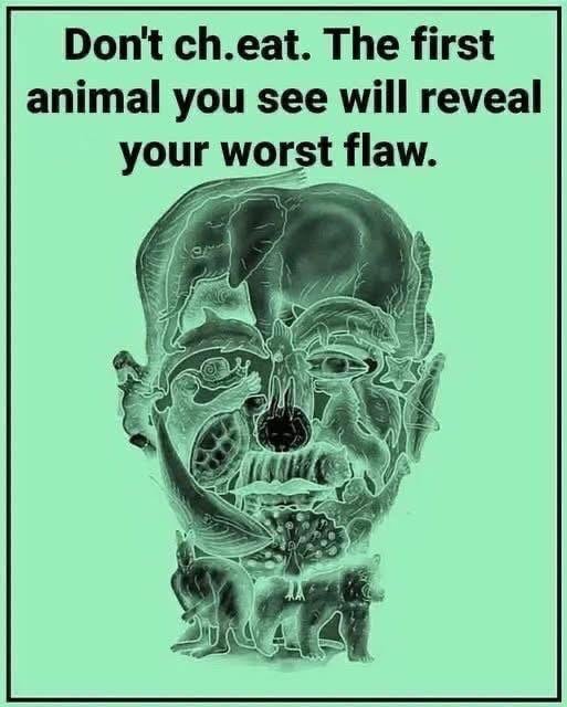 This visual test reveals your ‘worst flaw’ based on the first animal you see