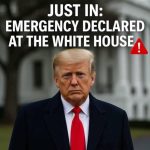 Vance Praises Trump, National Security Team After ….