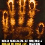 The Hidden Light In Your Hands That Shouldn’t Be Dimmed