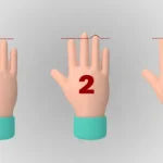 Index Finger Length: Personality and Fortune