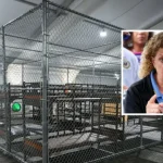 Official Says Dems Trying To Create Controversy Over Nonissues At Alligator Alcatraz