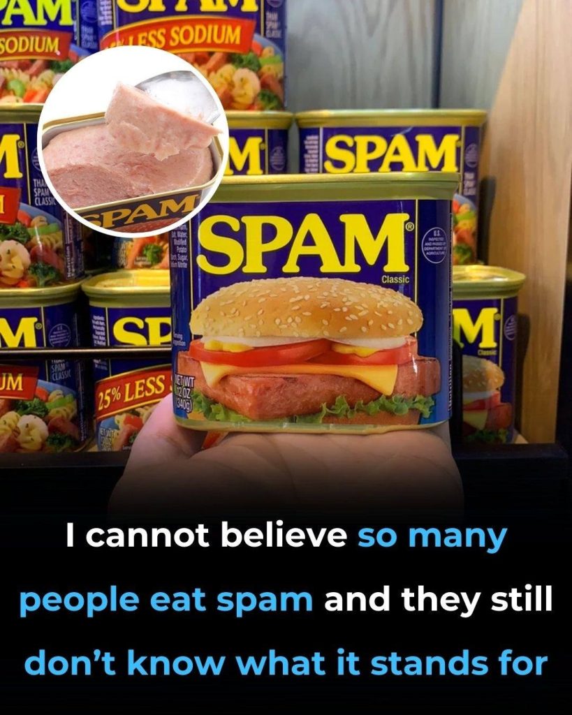 What is spam and what is it made of?