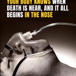 A Study Reveals: Your Body Knows When Death Is Near, And It All Begins In The Nose